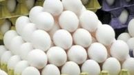 تخم مرغ را فقط کیلوئی و به قیمت هر کیلو ۲۲۵۰۰ تومان بخرید 