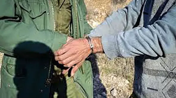 کشف لاشه قوچ وحشی از خانه مسکونی در کرمان