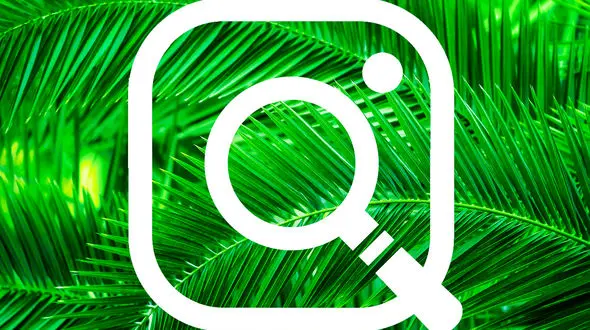 اکسپلور چیست؟ 