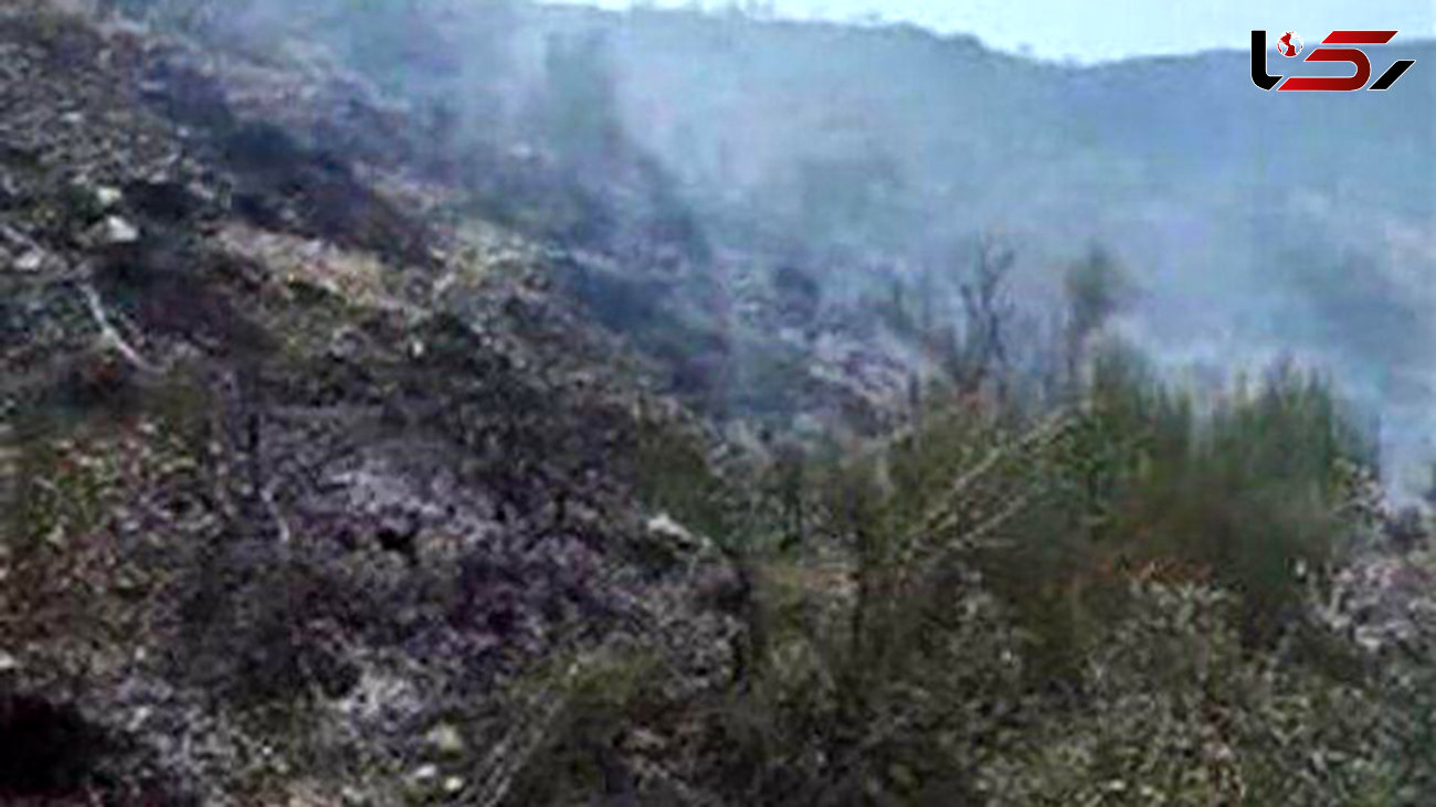 آتش سوزی 44 هکتار از جنگل های چهار محال بختیاری 