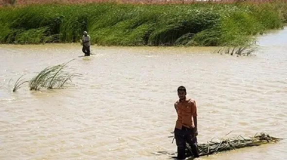 تالاب هامون یک چوپان را بلعید !