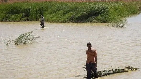 تالاب هامون یک چوپان را بلعید !