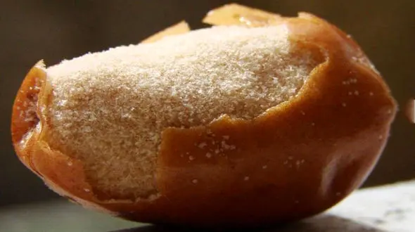 غضروف سازی با سنجد