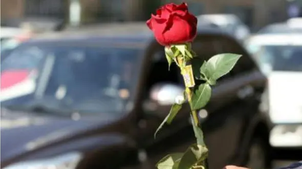 دختران ائل گلی تبریز گل باران شدند! / پرونده حمله باگلوله برفی به کجا رسید ؟+عکس