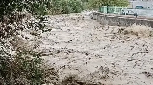 سیل سواد کوه۳نفر را بلعید / ۳۱ سیل زده نجات یافتند
