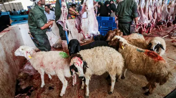 ذبح دام عید قربان در معابر عمومی ممنوع 