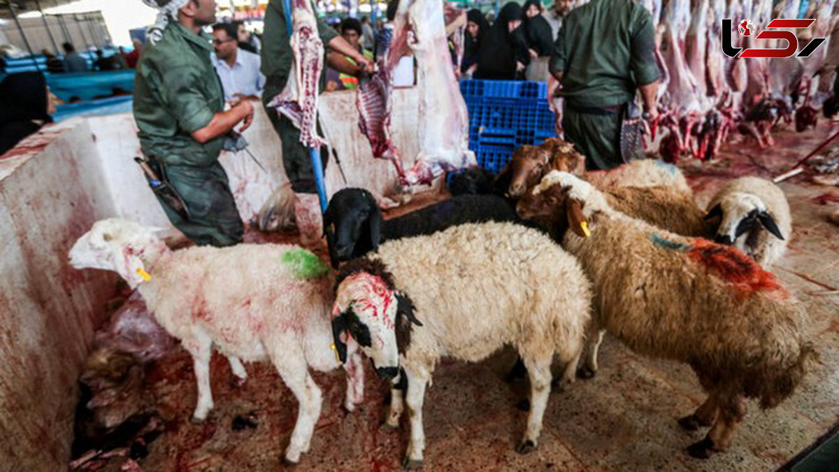 ذبح دام عید قربان در معابر عمومی ممنوع 