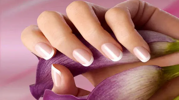 8 خوراکی مفید برای رشد و زیبایی ناخن ها