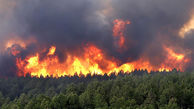 وقوع حریق در ۶ نقطه جنگلی شرق مازندران/آتش سوزی شهیدآباد مهار شد