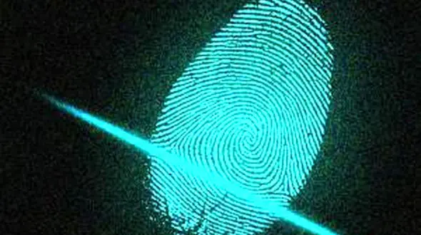 کوالاها هم اثر انگشت دارند + عکس