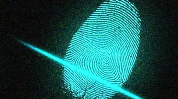 کوالاها هم اثر انگشت دارند + عکس
