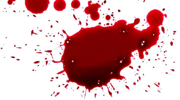 قتل مرد جوان در مشهد / محله پنجتن بوی خون گرفت