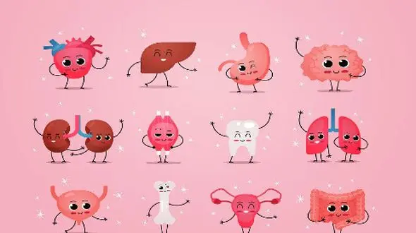 کدام ورزش برای کدام اندام مناسب است؟ بررسی علمی و دقیق