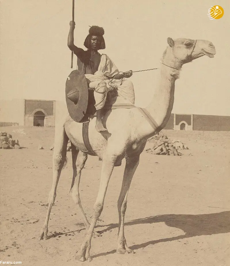 سوار بر شتر