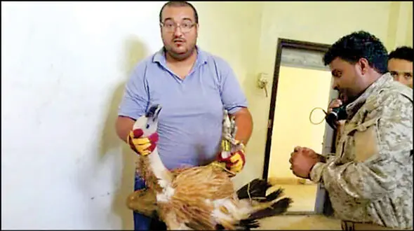  دستگیری یک پرنده به جرم جاسوسی+ عکس