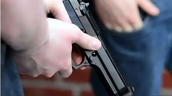 شرور شرق تهران با گلوله پلیس زمین‌گیر شد 