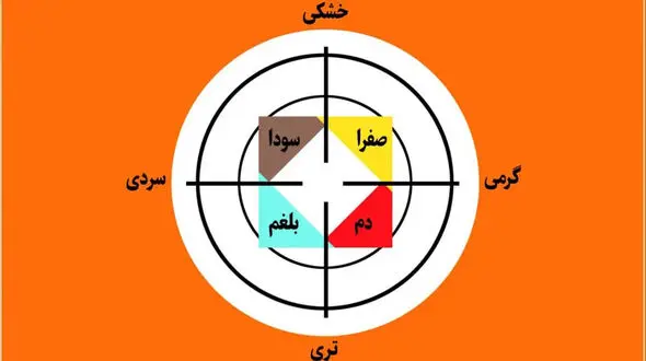 تشخیص مزاج شما: بلغمی، دموی، صفراوی یا سوداوی با راهنمای کامل + اینفوگرافیک