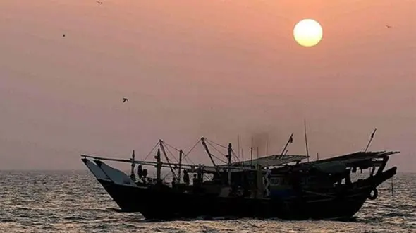 ببینید / صیاد بوشهری به نهنگ‌ سواری پرداخت + فیلم