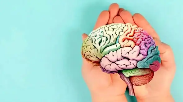 چطور مغزی سالم و تیز داشته باشیم؟ 5 راهکار برتر