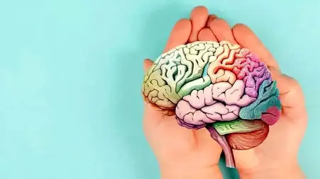 چطور مغزی سالم و تیز داشته باشیم؟ 5 راهکار برتر