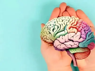 چطور مغزی سالم و تیز داشته باشیم؟ 5 راهکار برتر