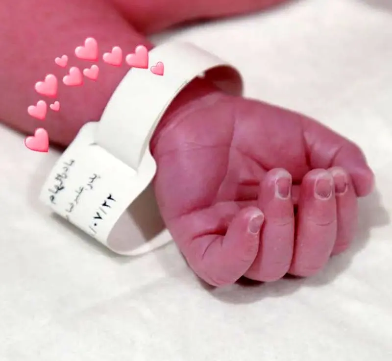 فرزند الهام حمیدی