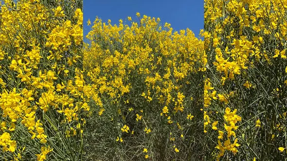 فال روزانه شخصی / 28 اردیبهشت ماه + فیلم
