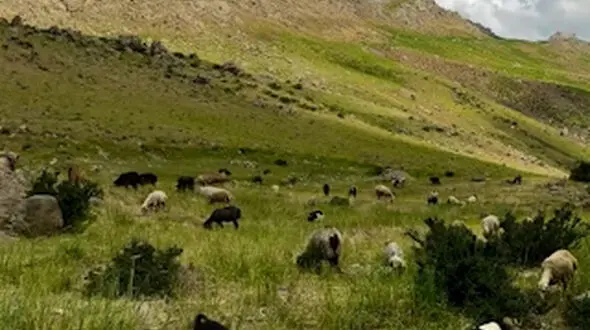 از اشترانکوه تا عبور قطار مسافربری از پل دوآب