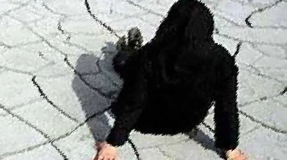 کاظم بی پروا با زنان ارتباط شوم دارد / عروسم هم مسیر زشت شوهرم را دنبال می کند