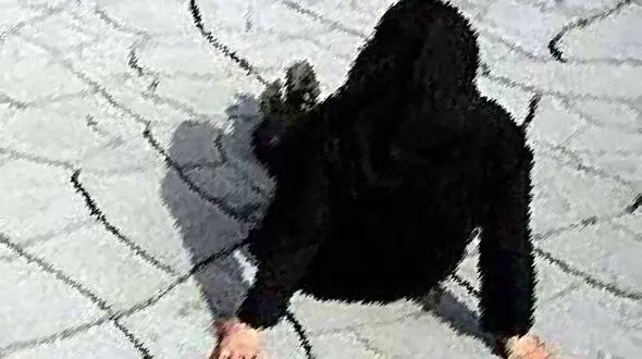کاظم بی پروا با زنان ارتباط شوم دارد / عروسم هم مسیر زشت شوهرم را دنبال می کند