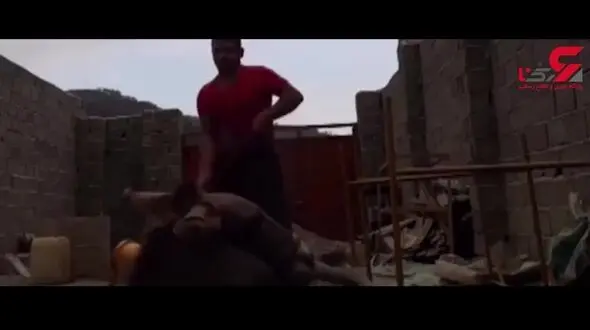 پسری که خری را شکنجه می داد دستگیر می شود / پلیس گرگان وارد عمل شد + فیلم شکنجه