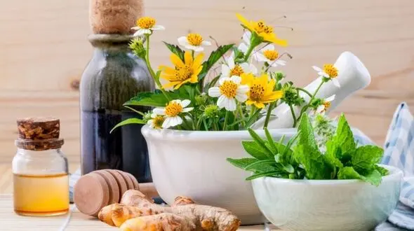 درمان های خانگی مبارزه با سنگ کلیه/خوشمزه های دفع کننده سنگ کلیه