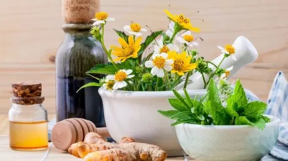 درمان های خانگی مبارزه با سنگ کلیه/خوشمزه های دفع کننده سنگ کلیه