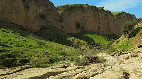  عملیات جست‌و‌جو گردشگران کول‌خرسان وارد روز چهارم شد/ هنوز از سرنوشت ۳ گردشگر اثری در دست نیست 