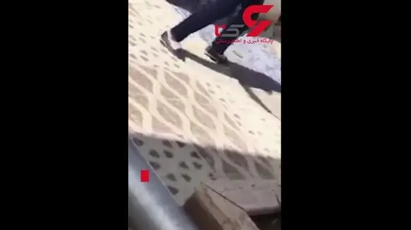 صحنه دلهره‌آوری که یک زن خانه دار و فرزندش با آن مواجه شدند!+فیلم 