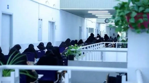 اصلاح تأثیر پایه یازدهم در کنکور؛ جزئیات پیشنهاد کمیسیون آموزش مجلس