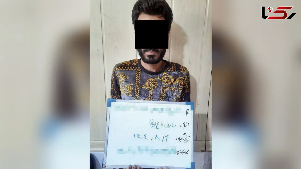 پایان کار جغد شوم ویلا در مشهد / سارق ۳۰ باغ‌ویلا در دام پلیس گرفتار شد