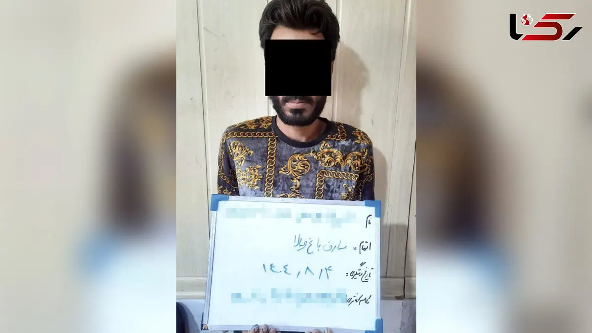 پایان کار جغد شوم ویلا در مشهد / سارق ۳۰ باغ‌ویلا در دام پلیس گرفتار شد
