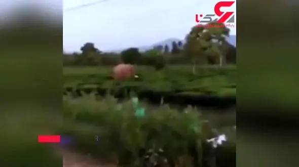 جان سالم بدر بردن موتورسوار کم طاقت ! + فیلم