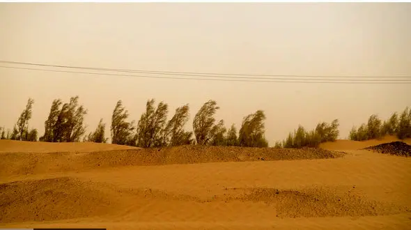 توفان با سرعت ١٠٠ کیلومتر شرق ایران را درنوردید