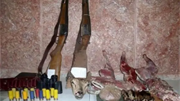 شکارچیان منطقه "قله سفید" در مهریز دستگیر شدند