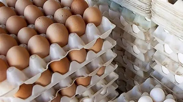 صادرات 110 هزار تن تخم مرغ ایران به عراق، افغانستان و 3 کشور دیگر