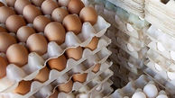 قیمت تخم مرغ در شمال تهران به شانه ای  140 هزار تومان رسید !