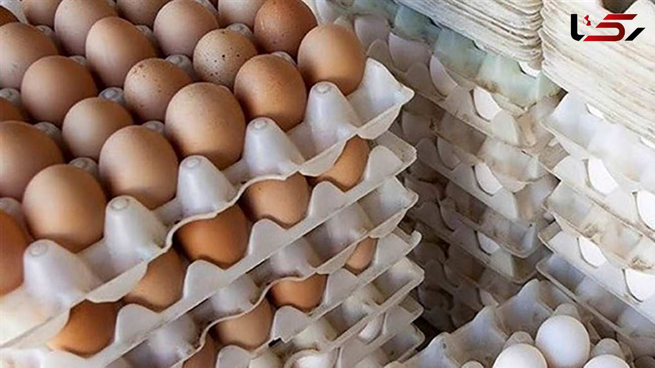 صادرات 100 هزار تن تخم مرغ