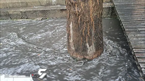 ثبت ۱۳۰ میلی متر بارندگی از شب گذشته در یک استان !