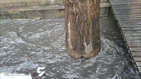 ثبت ۱۳۰ میلی متر بارندگی از شب گذشته در یک استان !