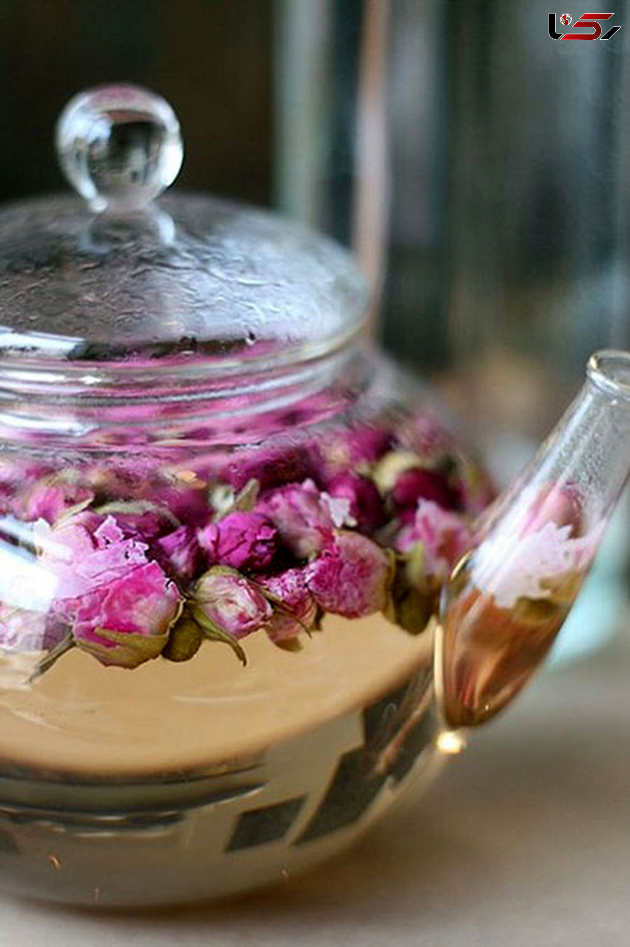 ایده هایی خلاقانه برای تزئین چای و قهوه +تصاویر دیدنی