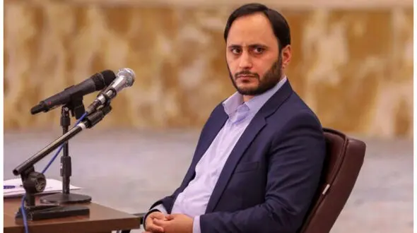 شکایت سخنگوی دولت از محسن برهانی