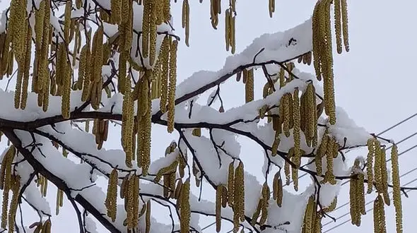 فال ابجد امروز / 19 بهمن + فیلم
