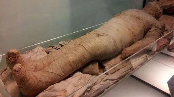 قیمت و نحوه مومیایی کردن جسد در ایران/ جسد چه کسانی در ایران مومیایی می‌شود؟ 